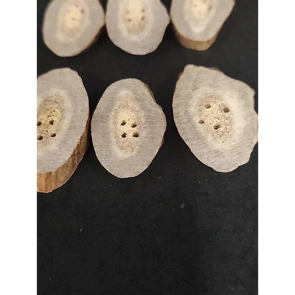 6 Piece Set Of Raw Antler Buttons 1.25